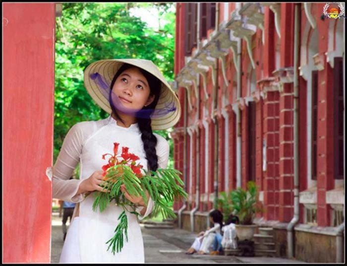 Nữ sinh Quốc học Huế dịu dàng với áo dài, nón lá, cành phượng đỏ trong tấm hình Bay cùng vào hạ.